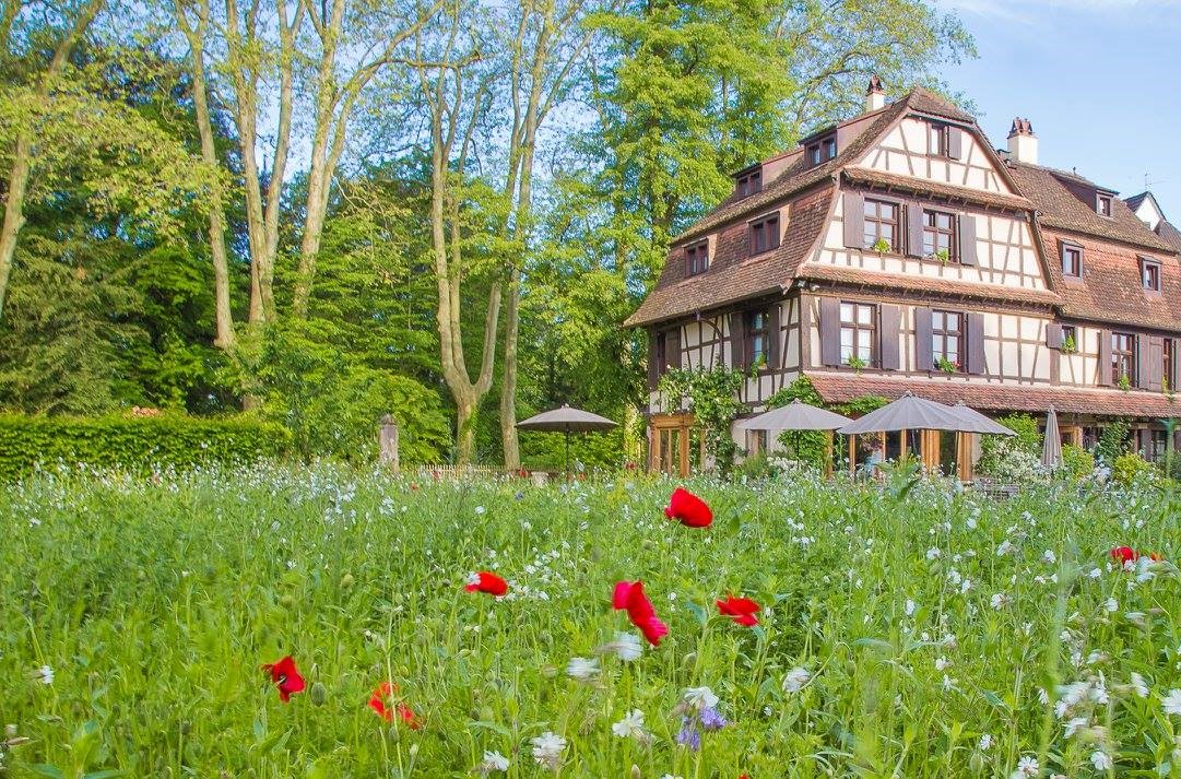 AU FIL DES SAISONS_4 | Du côté de chez Anne On parle de nous : Pokaa Bischwiller