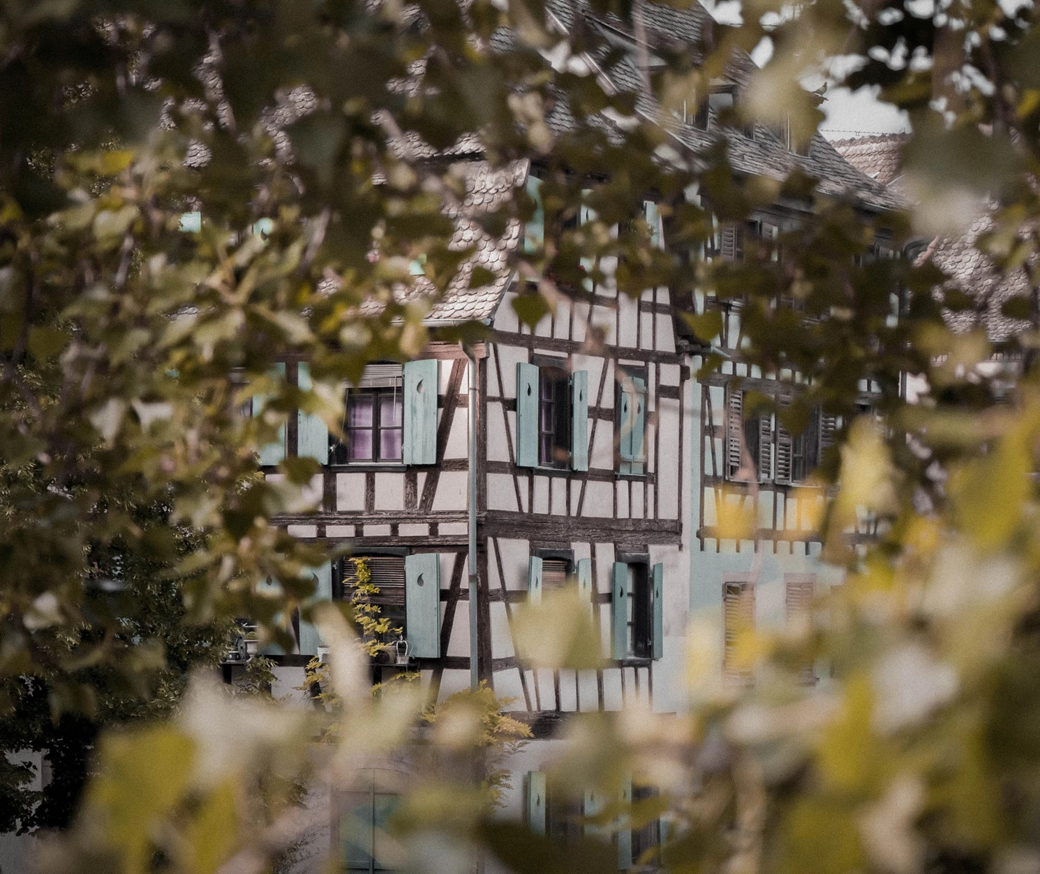 HISTOIRE_3 | Du côté de chez Anne Notre Histoire Ostwald 1