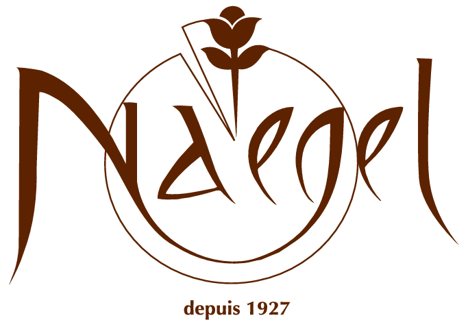 LOGO MAISON NAEGEL | Du côté de chez Anne Maison Naegel Bischwiller