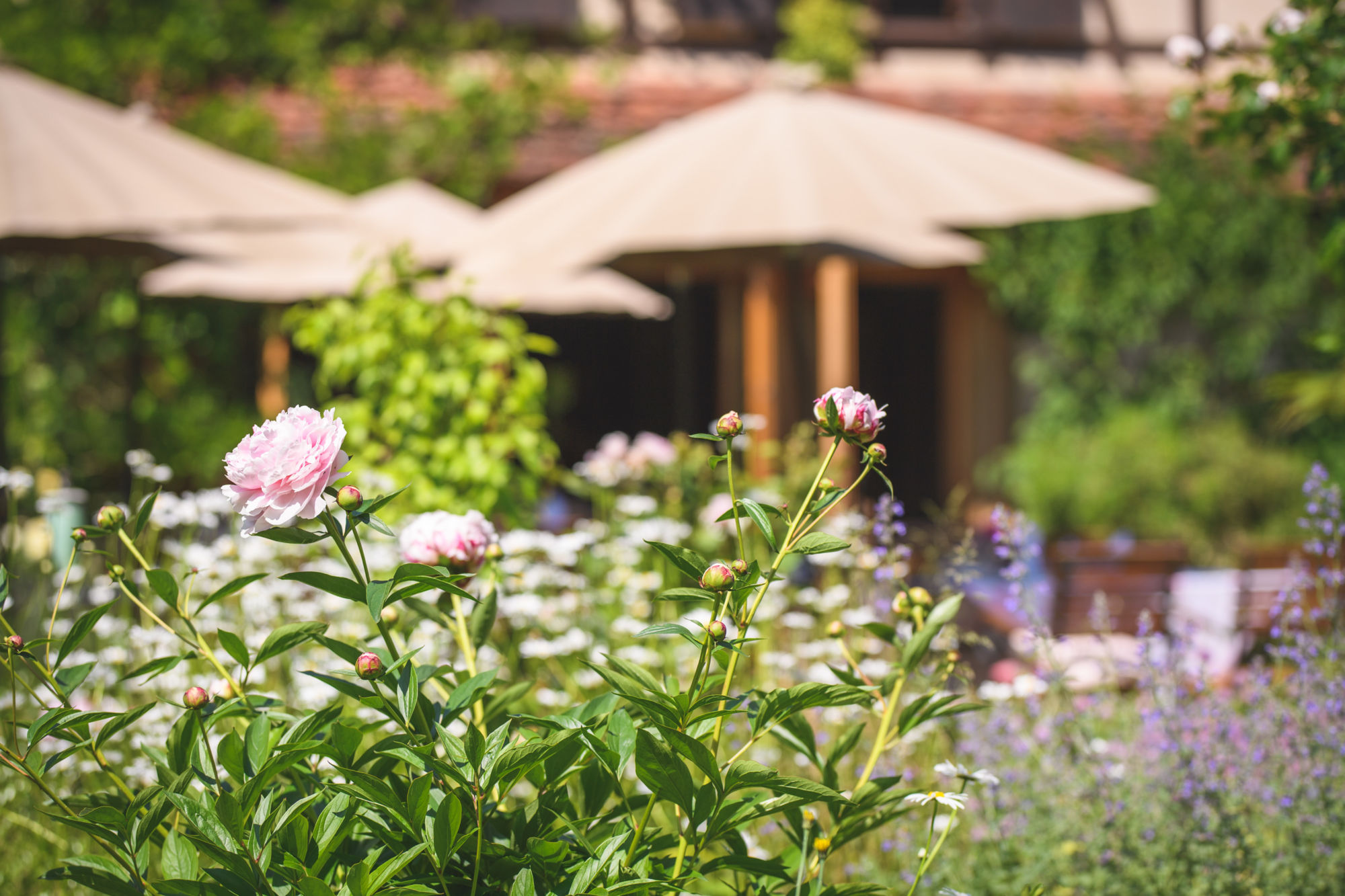 MARIAGES EVENEMENTS_12 | Du côté de chez Anne Domaine de Mariage Bischwiller 7